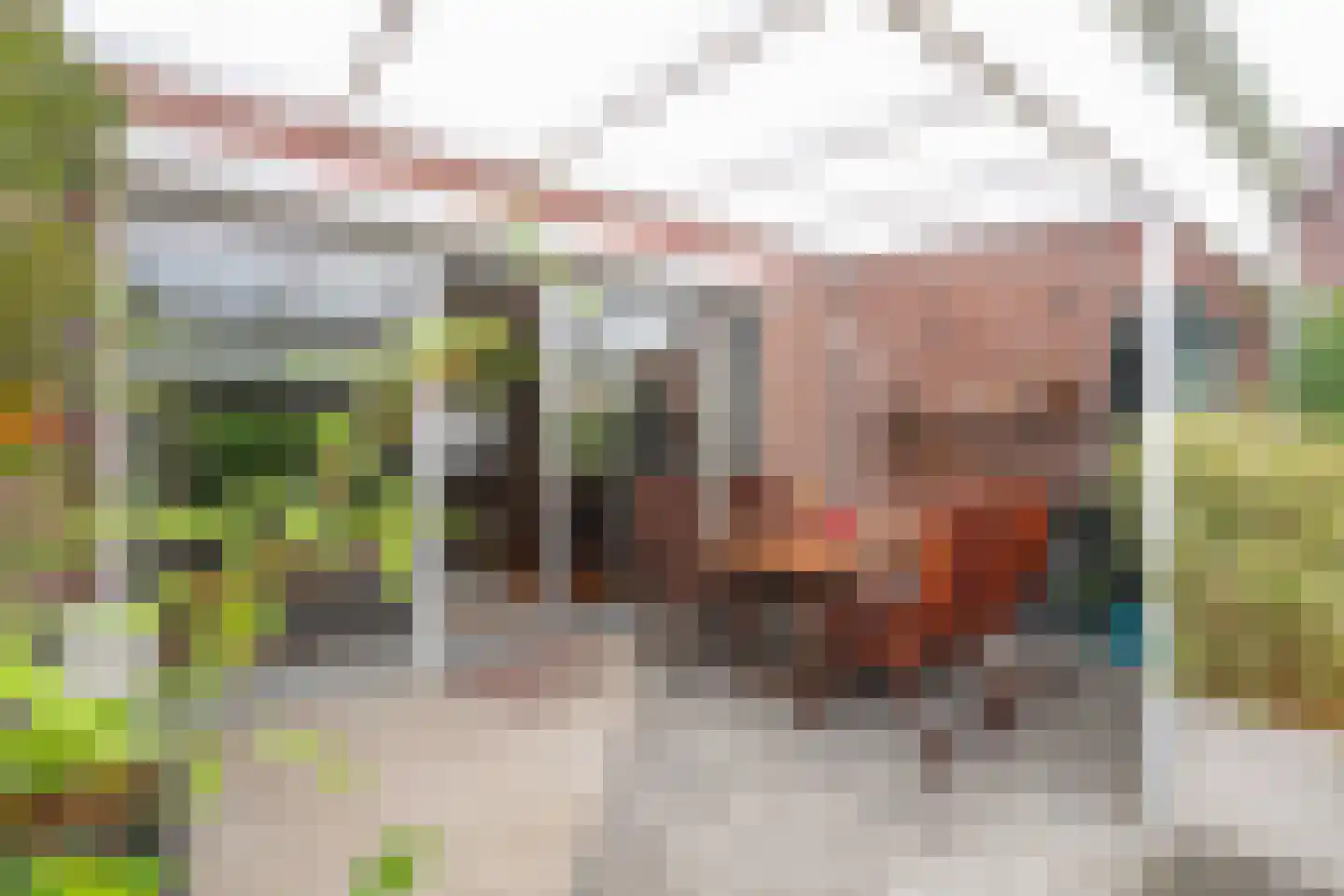 Hyacinthstraat 20 Heerlen thumbnail 13