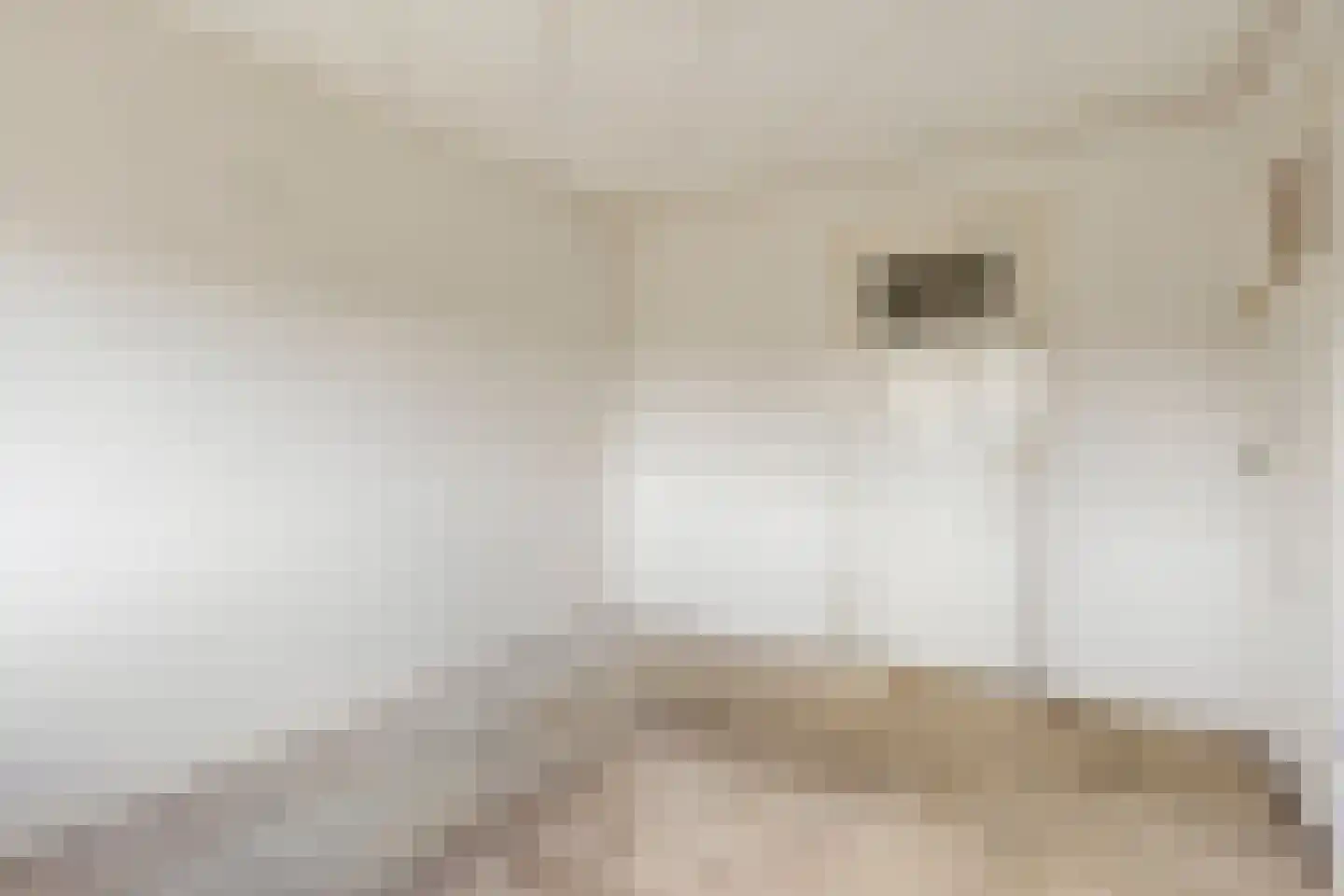 Hyacinthstraat 21 Voorschoten thumbnail 13