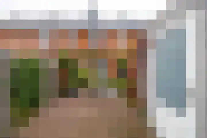 Hyacinthstraat 246 Groningen thumbnail 33