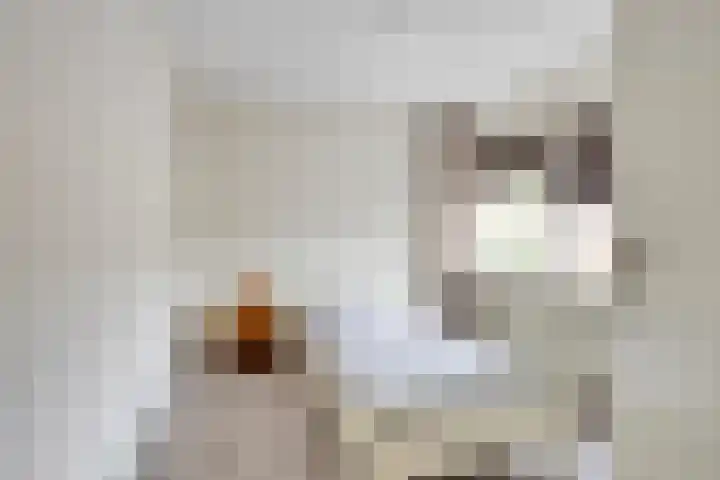 Hyacinthstraat 3 Eindhoven thumbnail 16