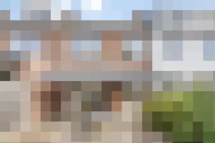 Hyacinthstraat 3 Eindhoven thumbnail 30