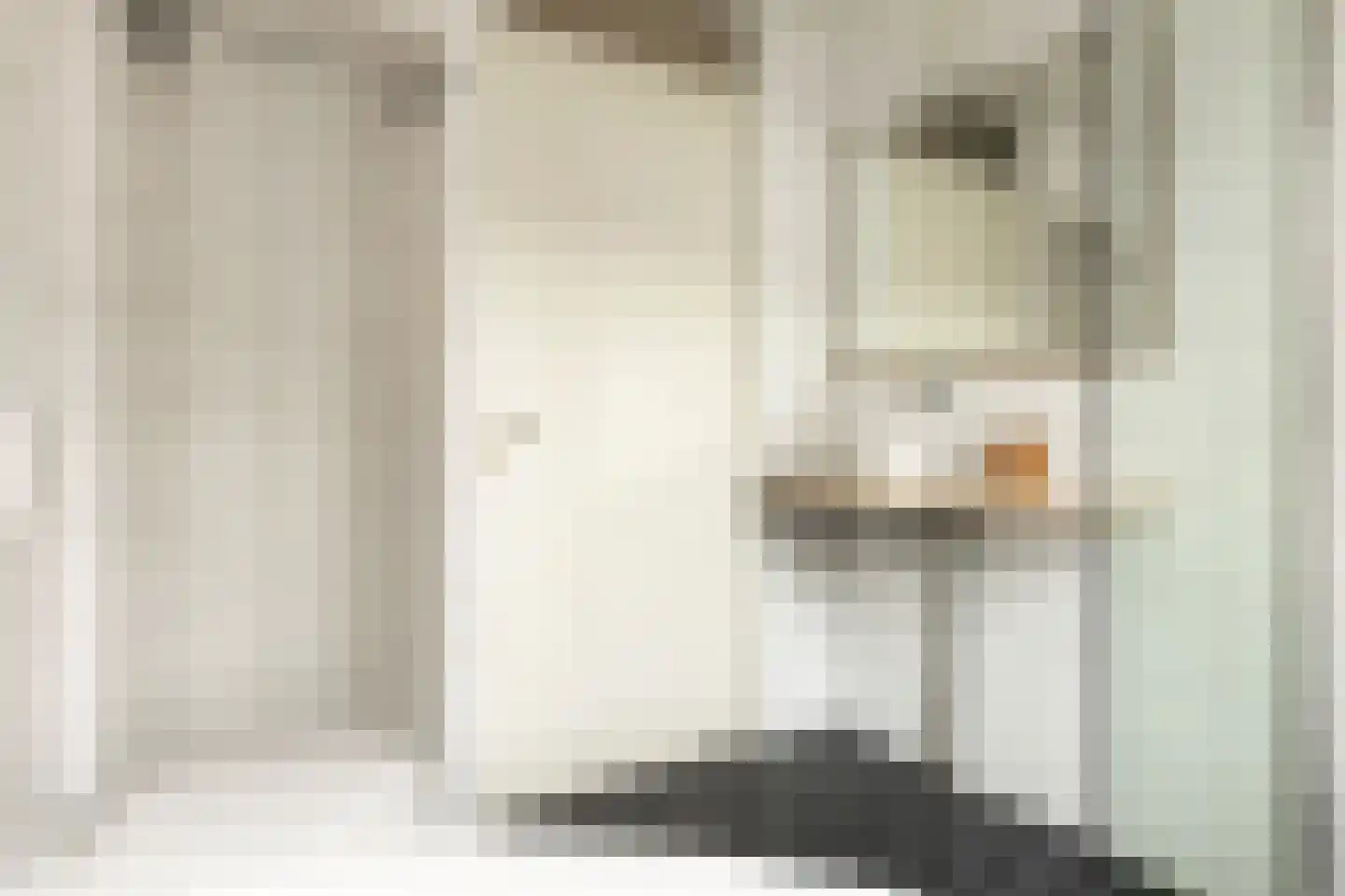 Hyacinthstraat 4 Groningen thumbnail 32