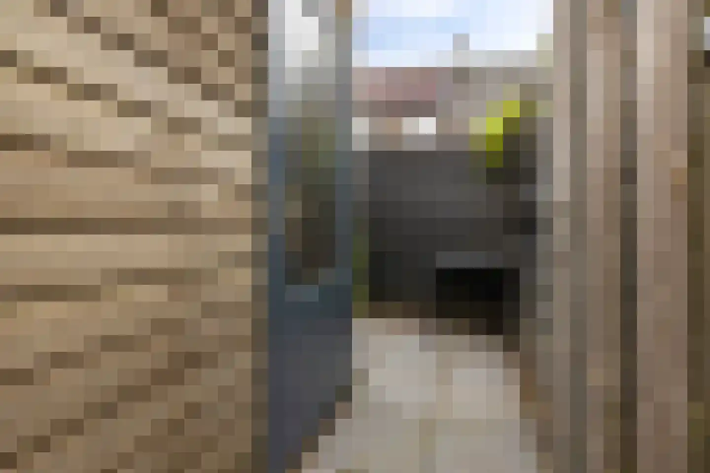 Hyacinthstraat 4 Groningen thumbnail 43