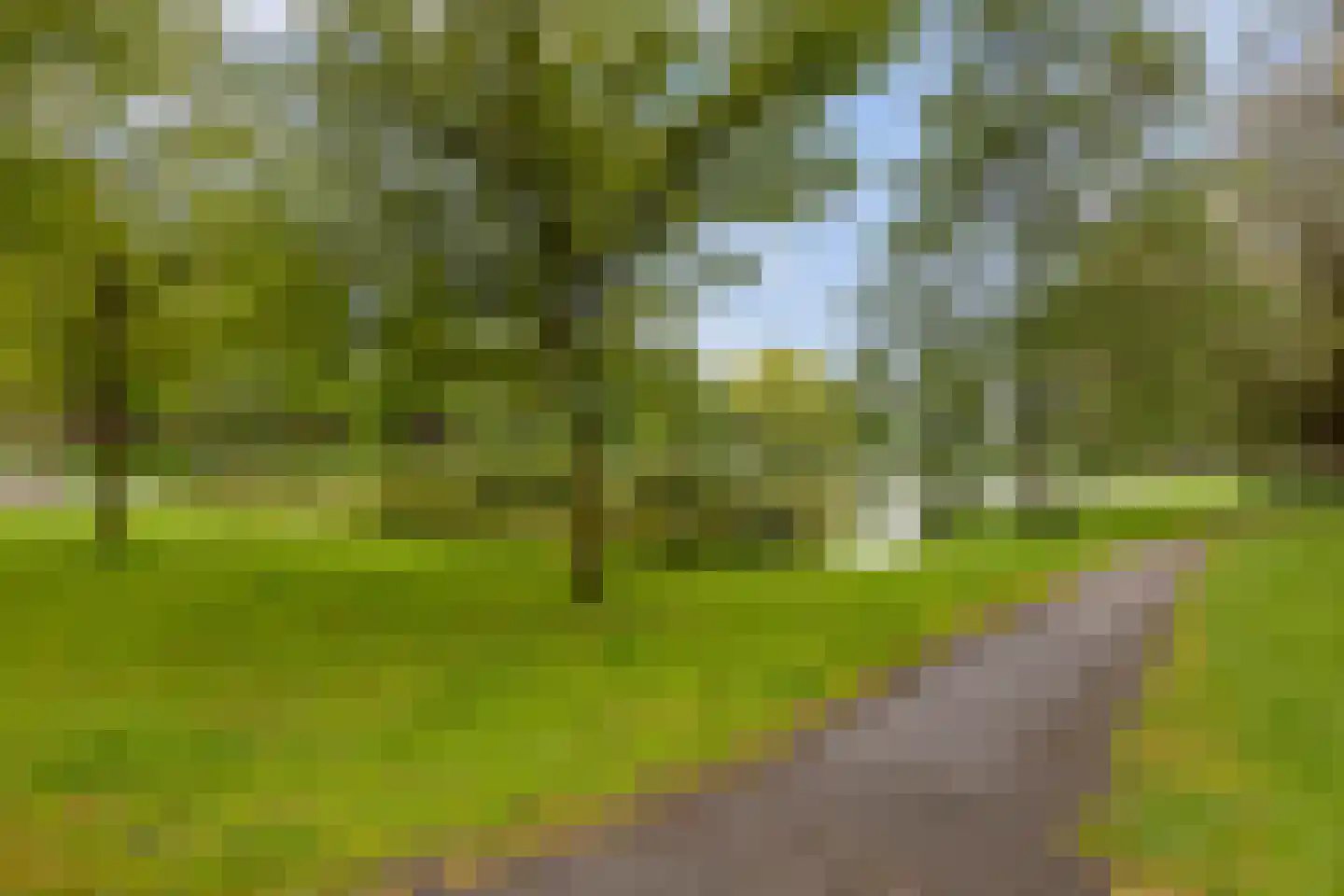 Hyacinthstraat 4 Groningen thumbnail 7