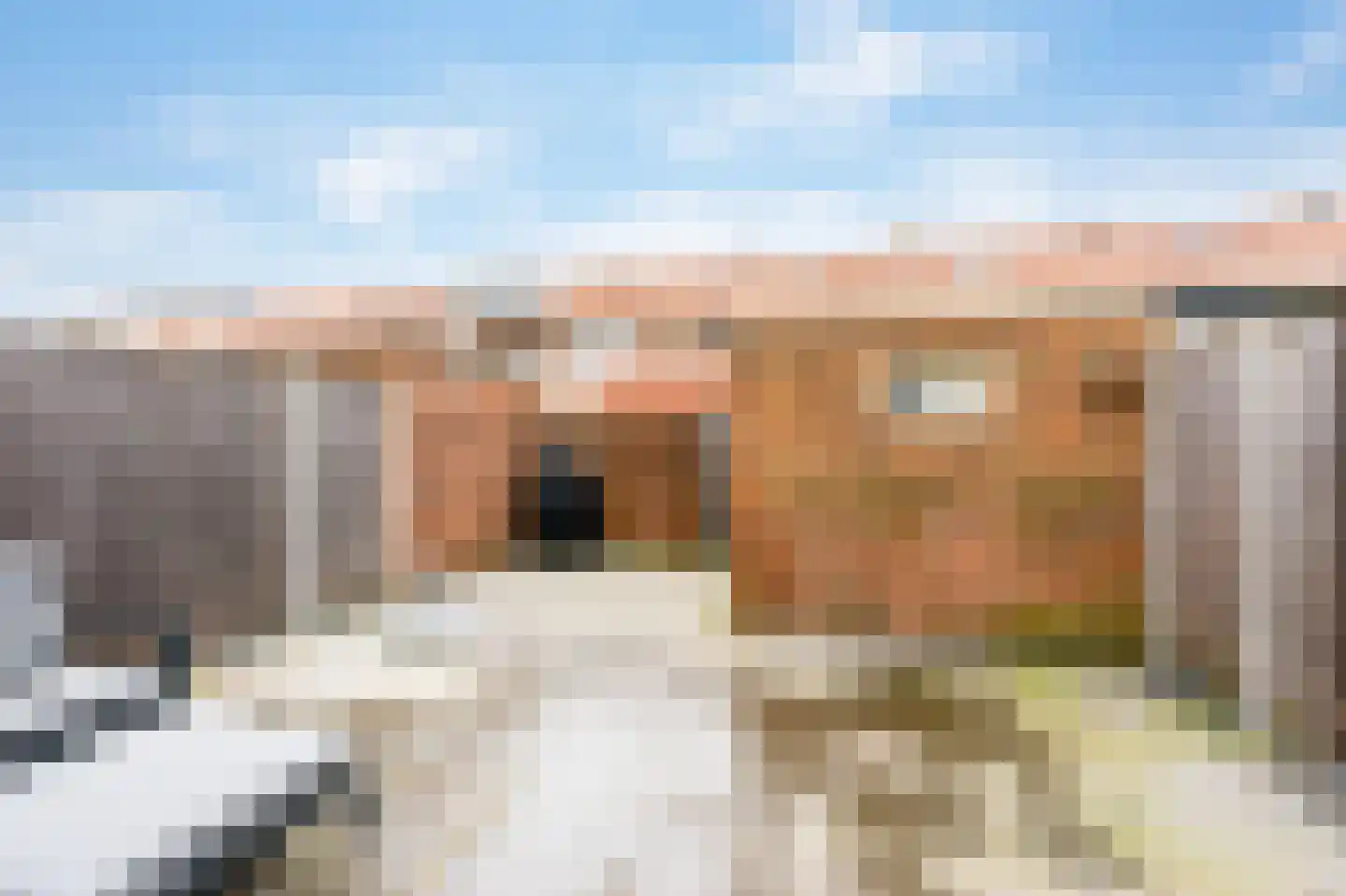 Hyacinthstraat 68 Noordwijk thumbnail 35