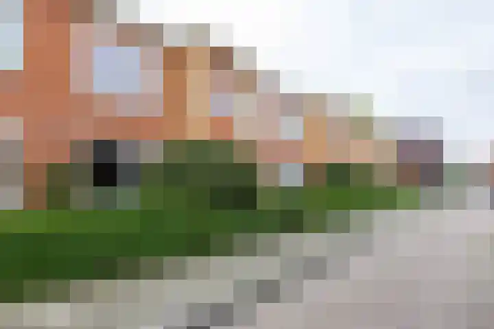 Hyacinthstraat 86 Groningen thumbnail 50