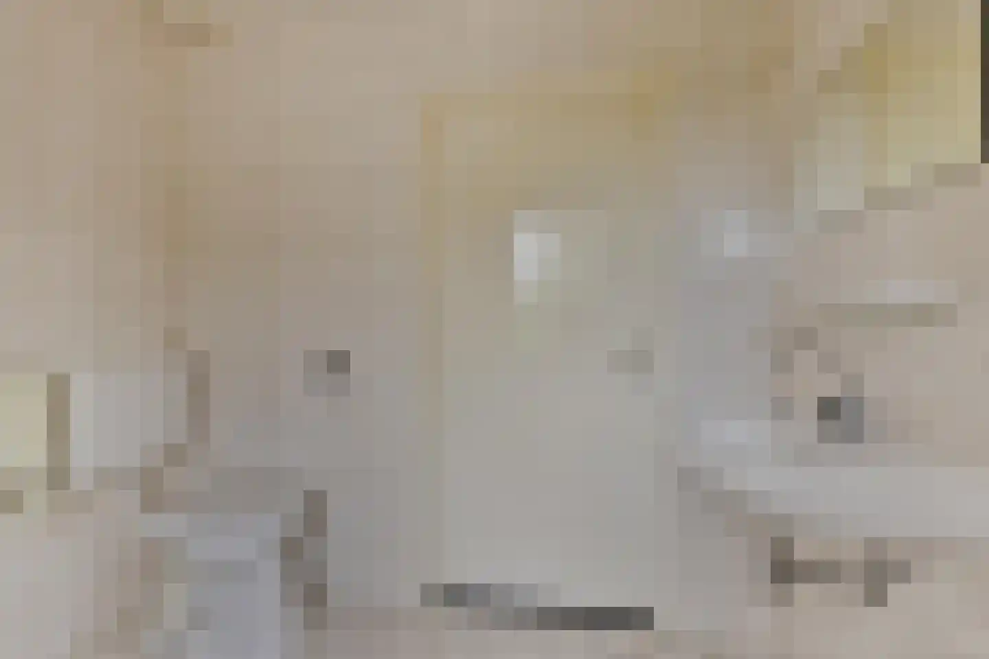 Hyacintlaan 15 Waalre thumbnail 16