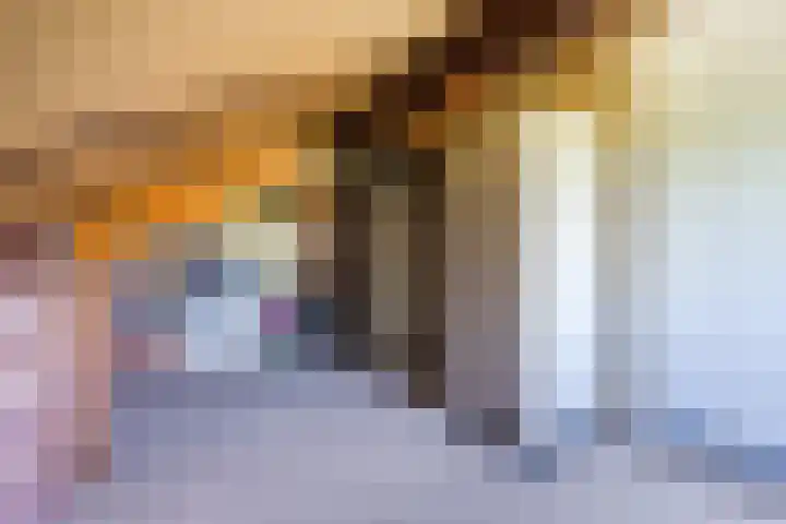 Hyacintlaan 16 Waalre thumbnail 22