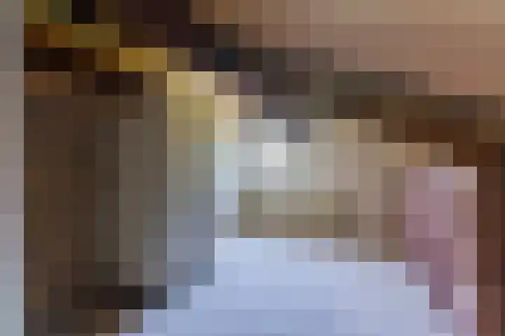 Hyacintlaan 16 Waalre thumbnail 23