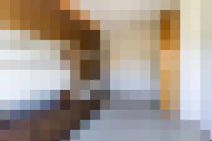 Hyacintlaan 16 Waalre thumbnail 25