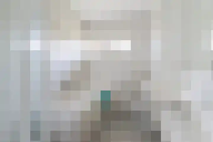 Hyacintlaan 16 Waalre thumbnail 26