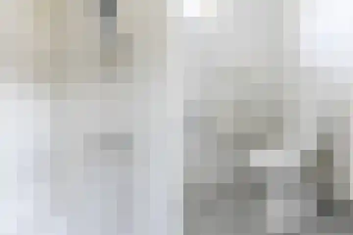 Hyacintlaan 16 Waalre thumbnail 28