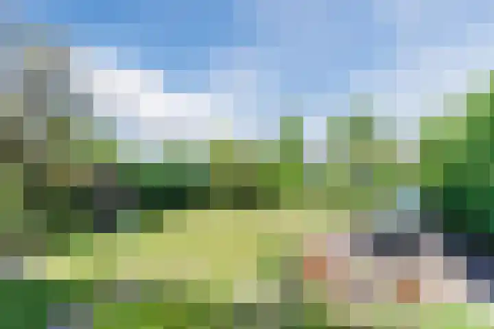 Hyacintlaan 16 Waalre thumbnail 33