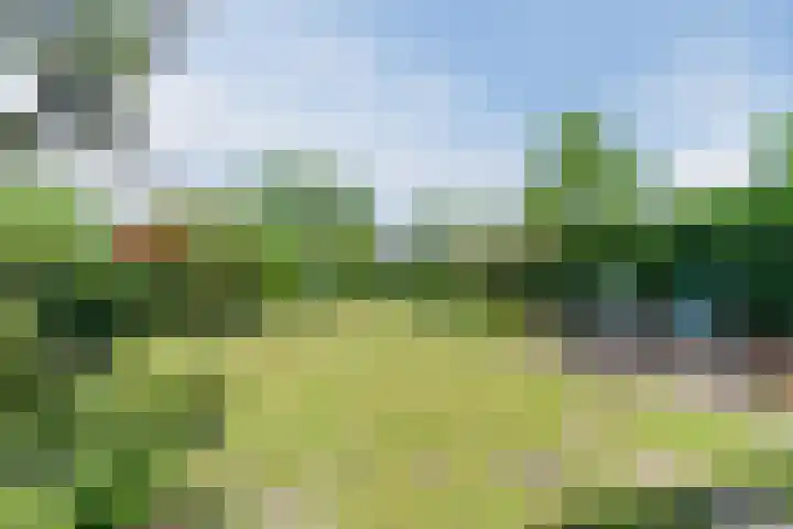 Hyacintlaan 16 Waalre thumbnail 34