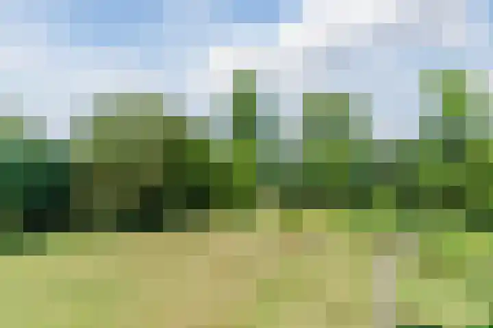Hyacintlaan 16 Waalre thumbnail 35