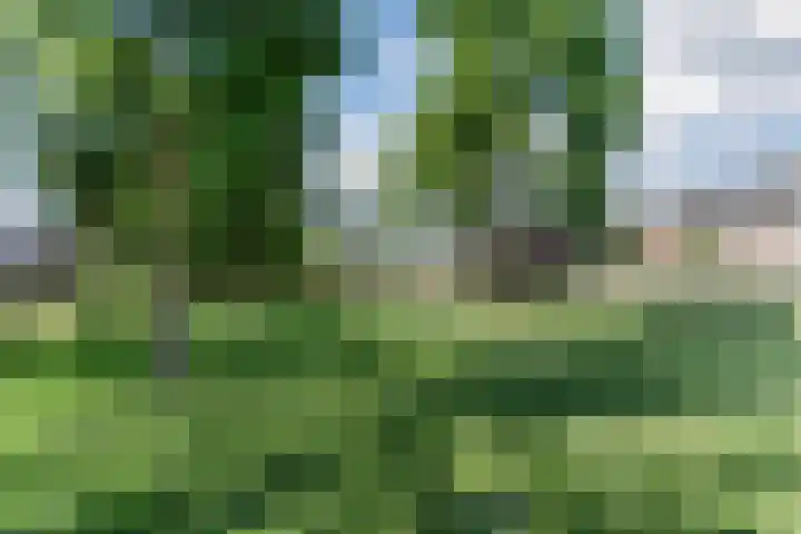 Hyacintlaan 16 Waalre thumbnail 39