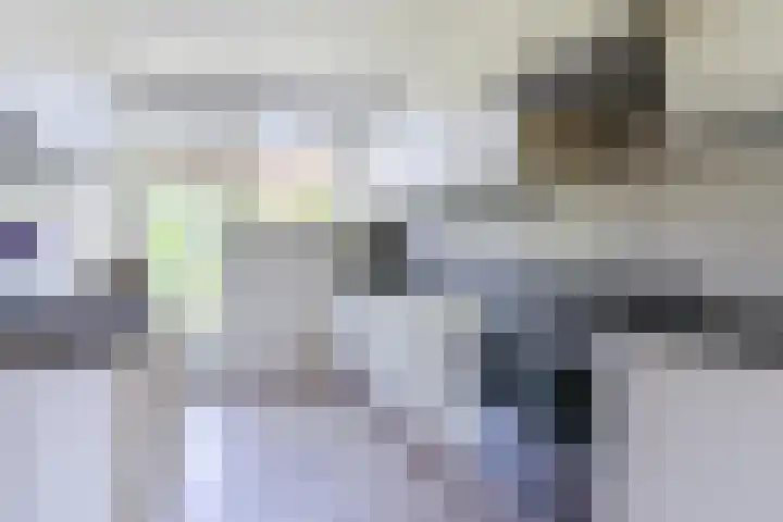 Hyacintlaan 16 Waalre thumbnail 4