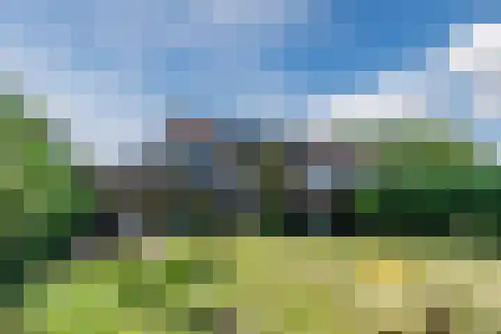 Hyacintlaan 16 Waalre thumbnail 5