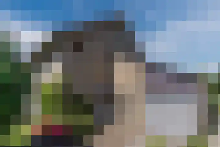 Hyacintlaan 16 Waalre thumbnail 6