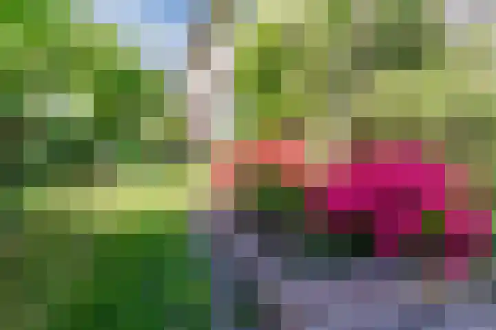 Hyacintlaan 16 Waalre thumbnail 7