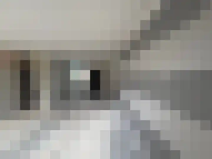 Hyacintlaan 2 Winkel thumbnail 11