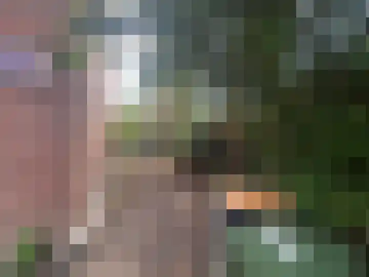 Hyacintlaan 2 Winkel thumbnail 21
