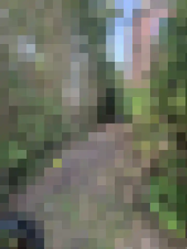 Hyacintlaan 2 Winkel thumbnail 22