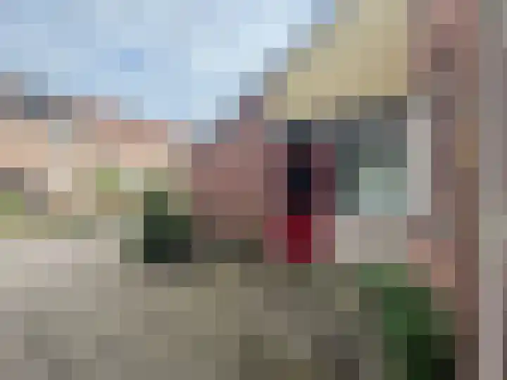 Hyacintlaan 2 Winkel thumbnail 6