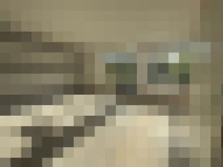 Hyacintlaan 2 Winkel thumbnail 9