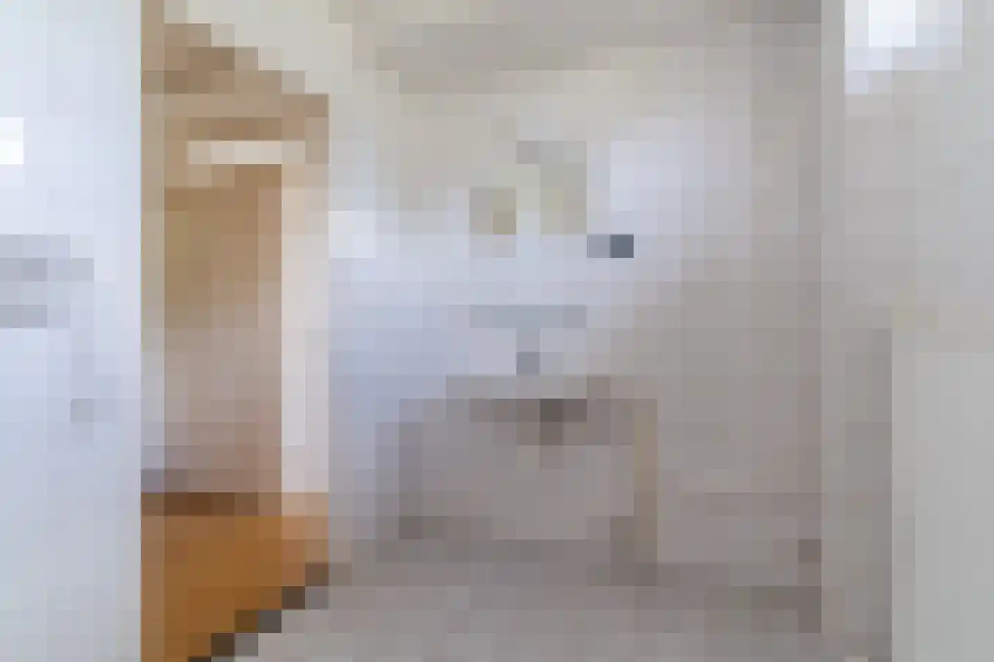 Hyacintlaan 31 Waalre thumbnail 24