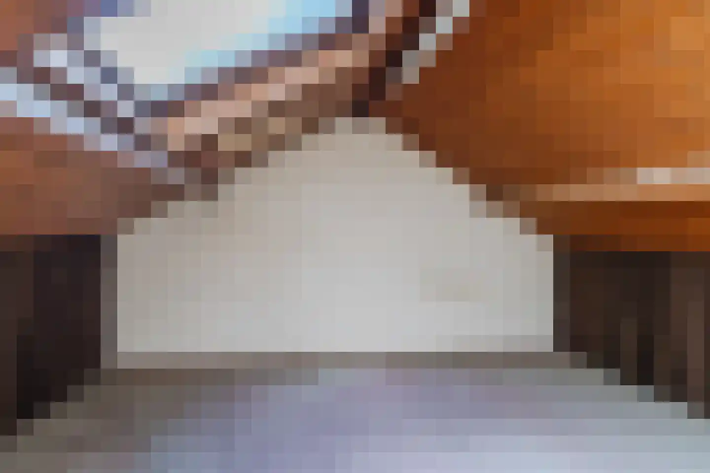 Hyacintlaan 31 Waalre thumbnail 25