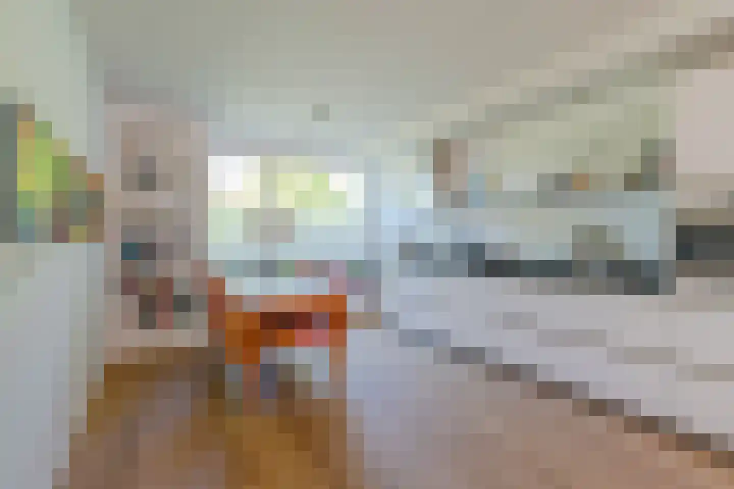 Hyacintlaan 4 Waalre thumbnail 6