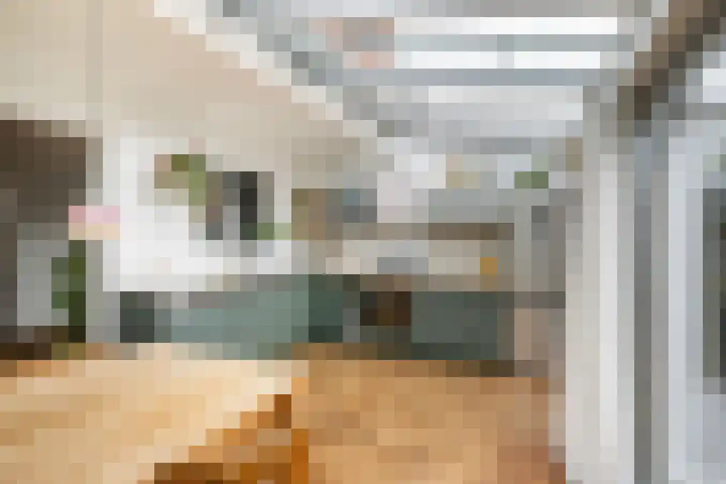 Hyacintstraat 12 Vlaardingen thumbnail 19