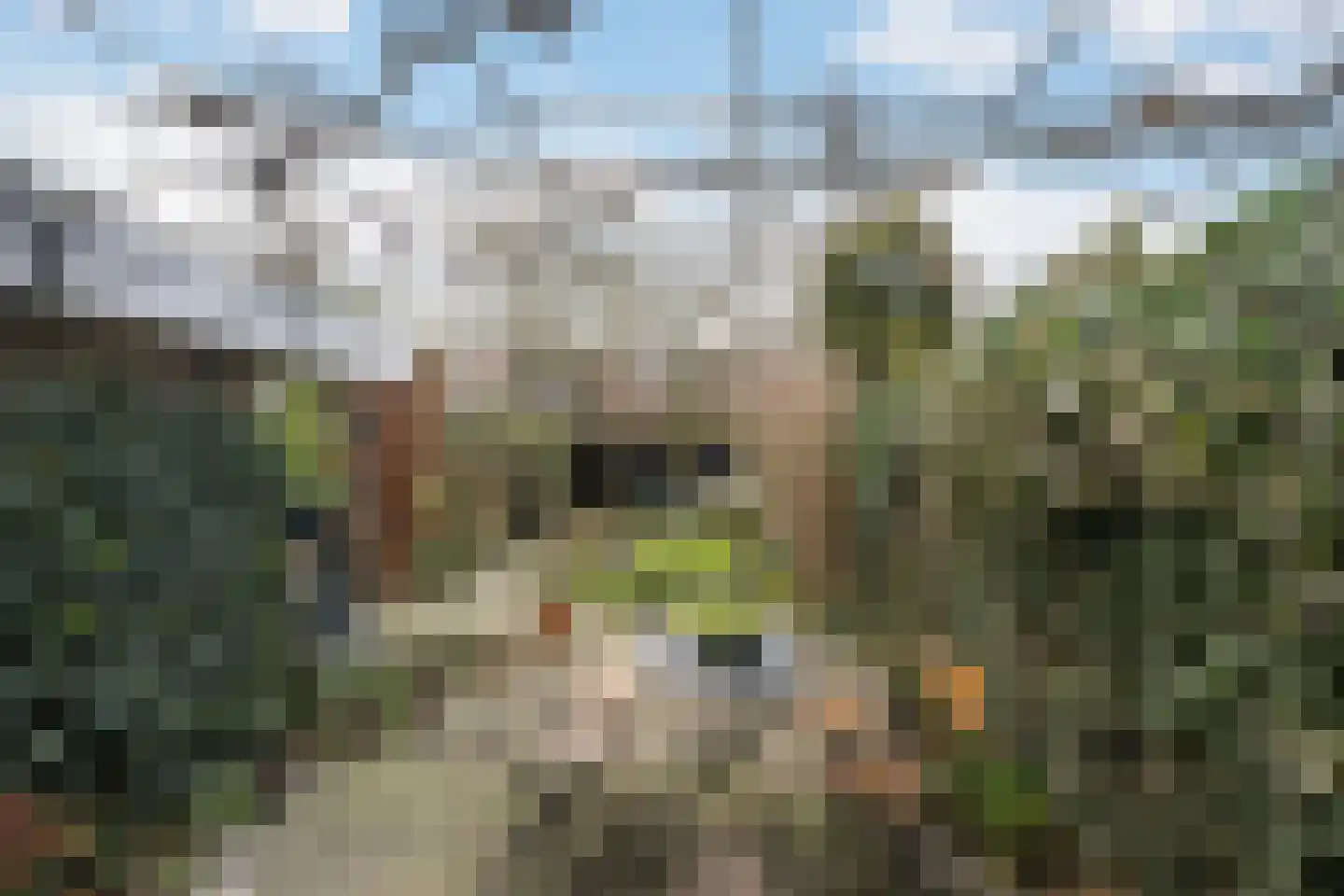 Hyacintstraat 12 Vlaardingen thumbnail 23