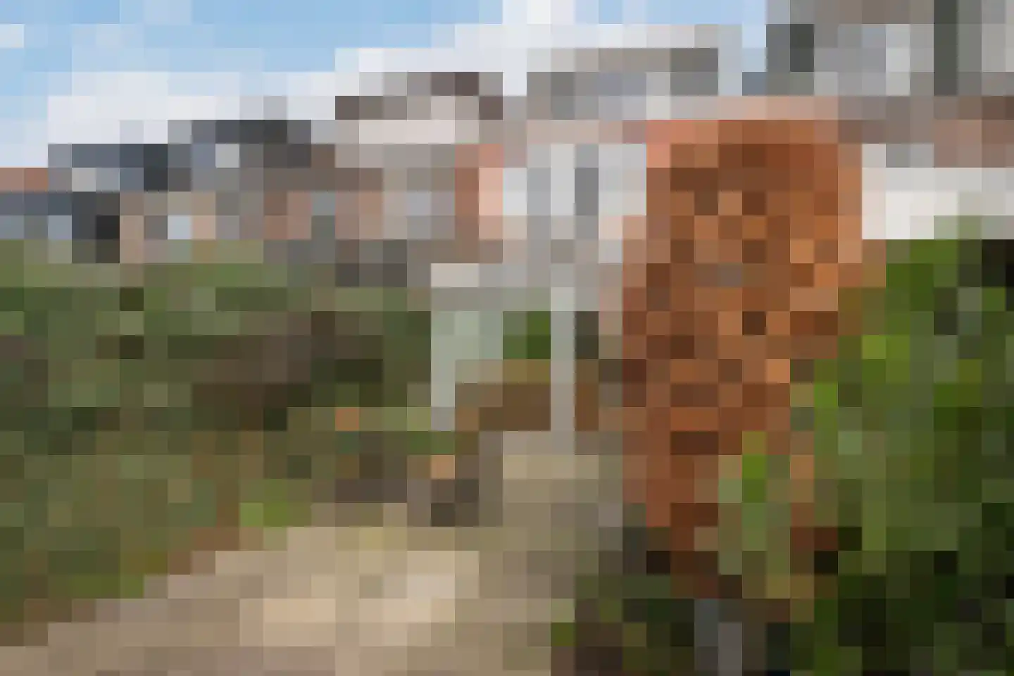 Hyacintstraat 12 Vlaardingen thumbnail 26