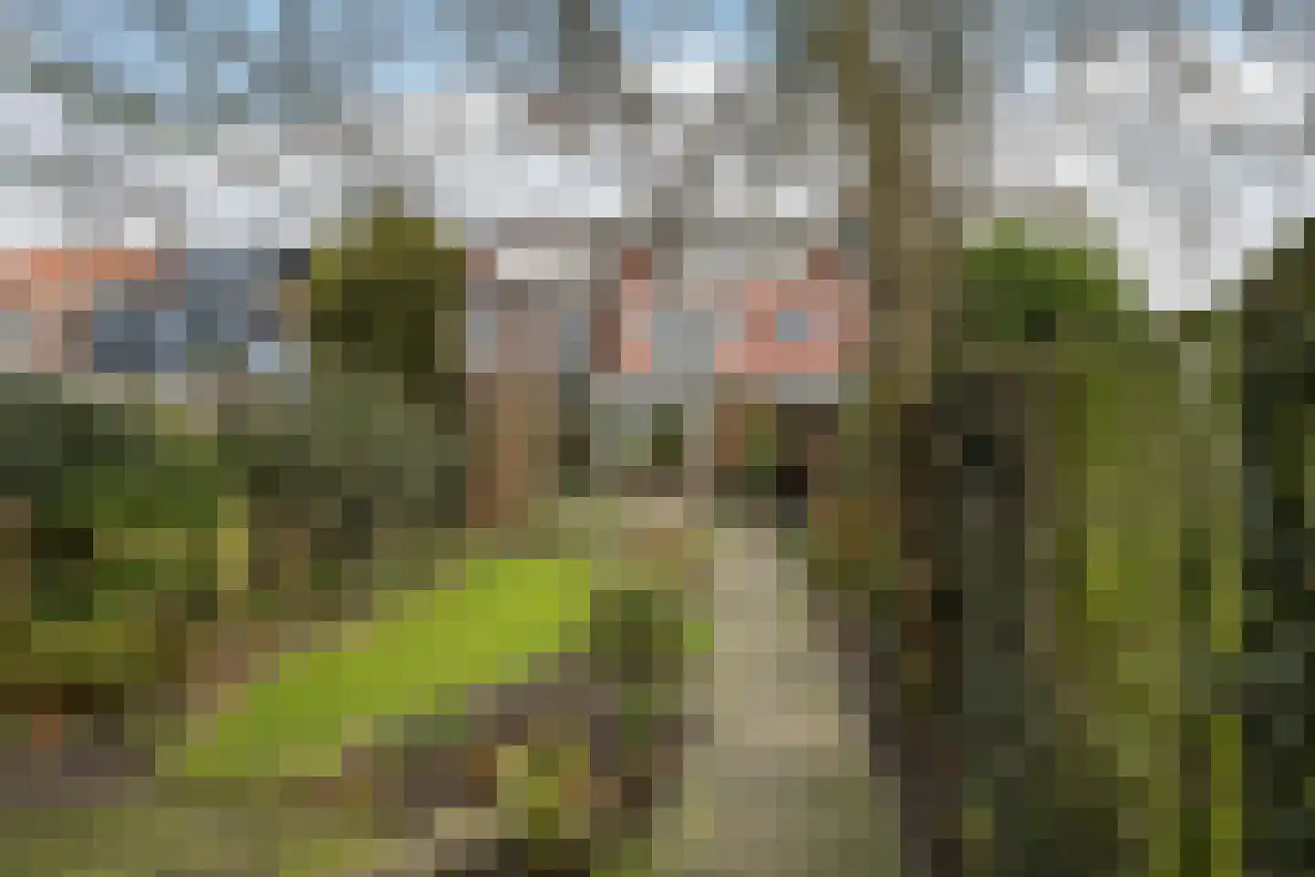 Hyacintstraat 12 Vlaardingen thumbnail 29