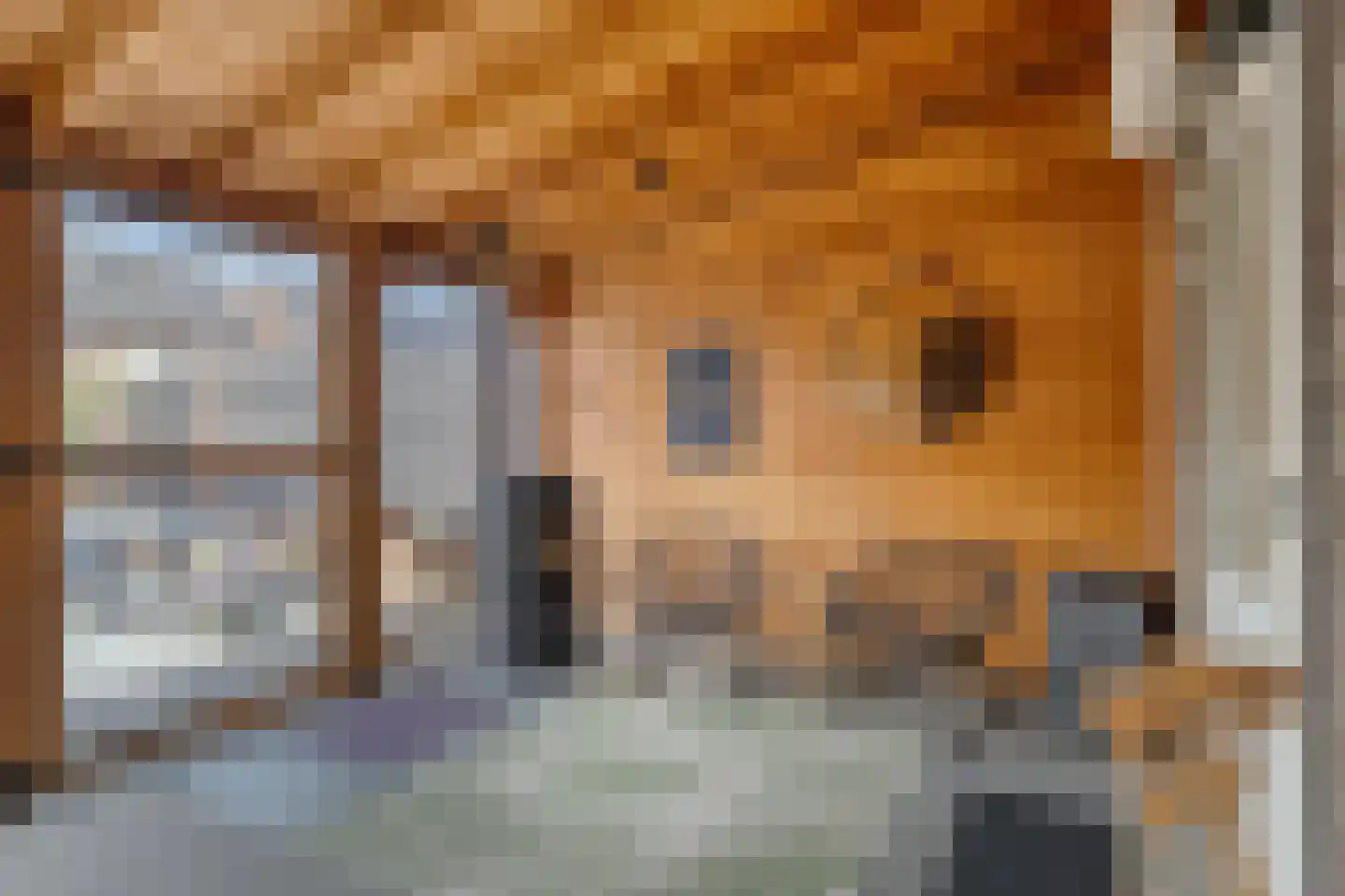 Hyacintstraat 14 's-Heerenberg thumbnail 23