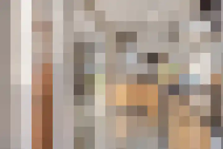 Hyacintstraat 14 Tilburg thumbnail 12