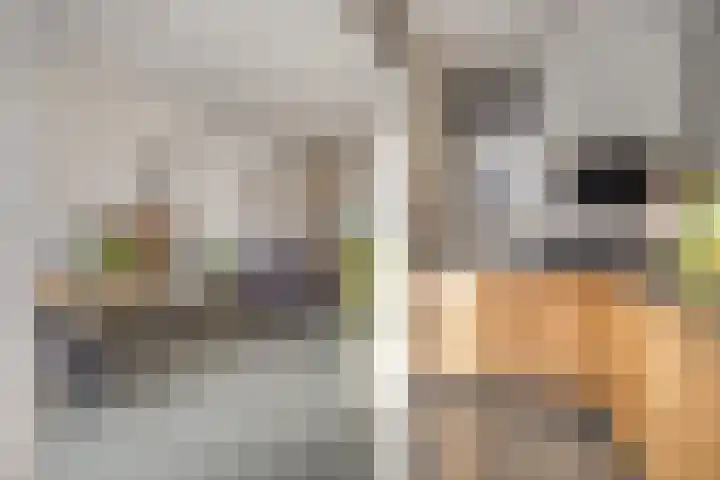 Hyacintstraat 14 Tilburg thumbnail 13