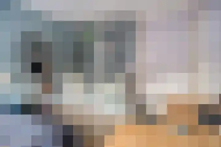 Hyacintstraat 14 Tilburg thumbnail 17