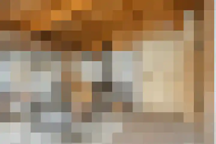 Hyacintstraat 14 Tilburg thumbnail 20