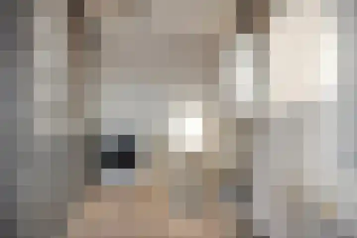 Hyacintstraat 14 Tilburg thumbnail 22