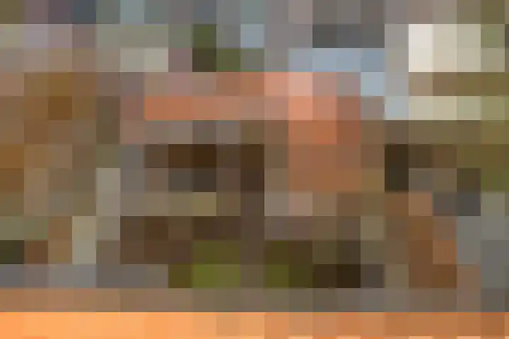 Hyacintstraat 14 Tilburg thumbnail 25