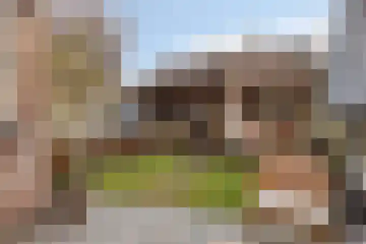 Hyacintstraat 14 Tilburg thumbnail 27