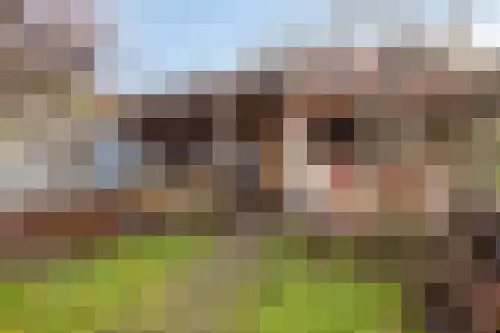 Hyacintstraat 14 Tilburg thumbnail 28