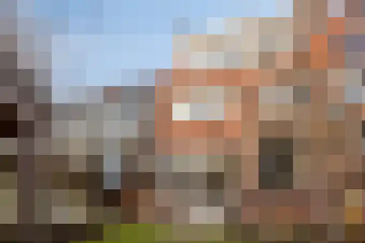 Hyacintstraat 14 Tilburg thumbnail 31