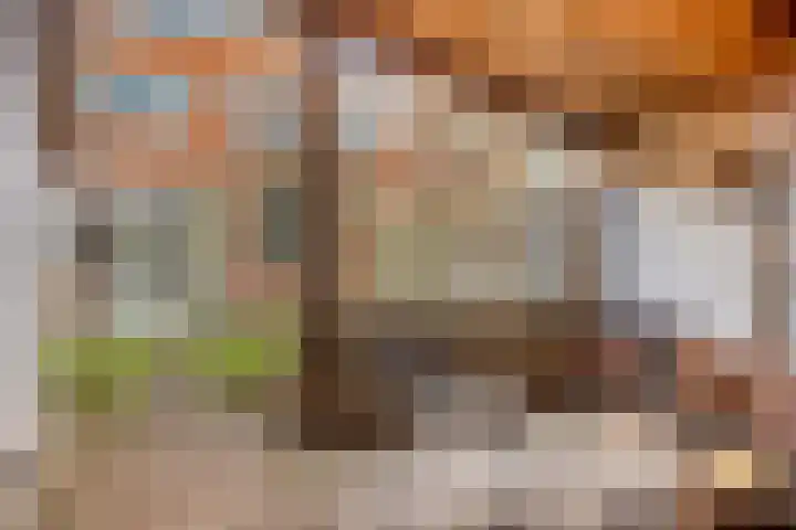 Hyacintstraat 14 Tilburg thumbnail 32