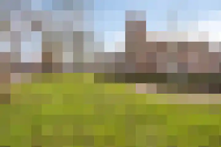 Hyacintstraat 14 Tilburg thumbnail 35
