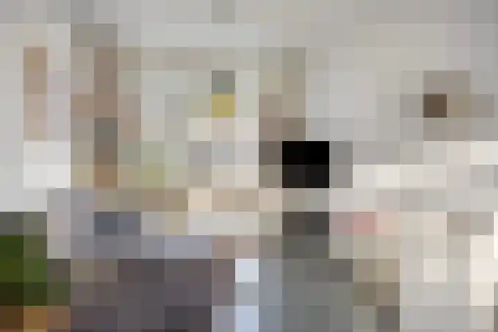 Hyacintstraat 14 Tilburg thumbnail 4