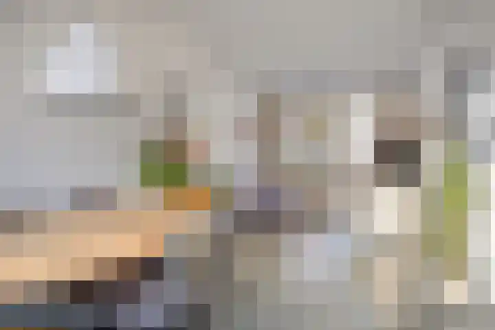 Hyacintstraat 14 Tilburg thumbnail 8